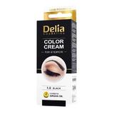 Боя за вежди от арганово масло Delia Cosmetics, нюанс 1.0 Черен, 15мл