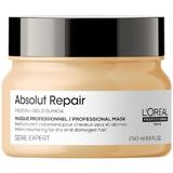Златна възстановяваща маска за увредена коса - L'Oreal Professionnel Absolut Repair Gold Quinoa + Protein Resurfacing Golden Masque, 250мл